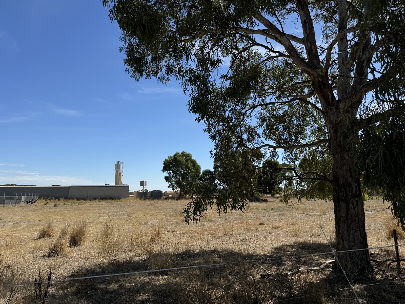 Naracoorte development site